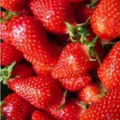 FRAISES  (250g)