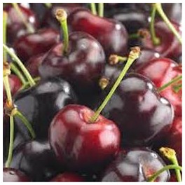 CERISE BURLAT ( 500 GRS)