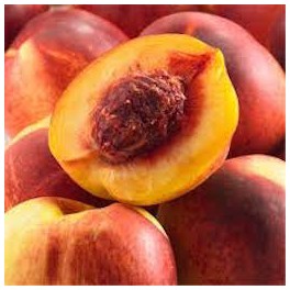 NECTARINES