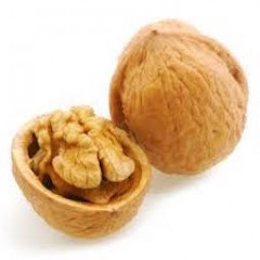NOIX 