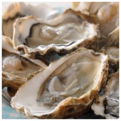 4 DOUZAINES D'HUITRES N°3