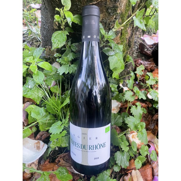 CÔTES DU RHONE BLANC