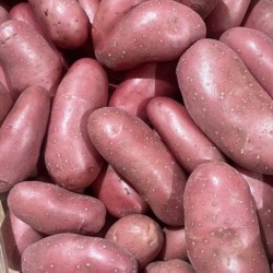 POMMES DE TERRE CHERIE