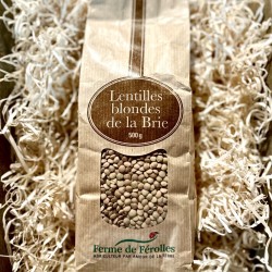 LENTILLES BLONDES DE LA BRIE