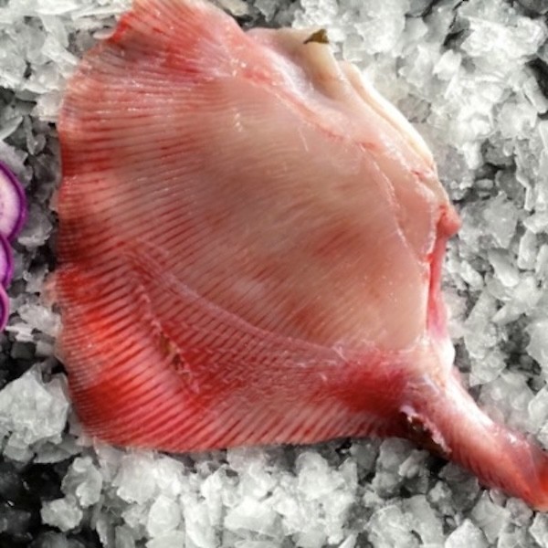 AILE DE RAIE PELÉE 400g