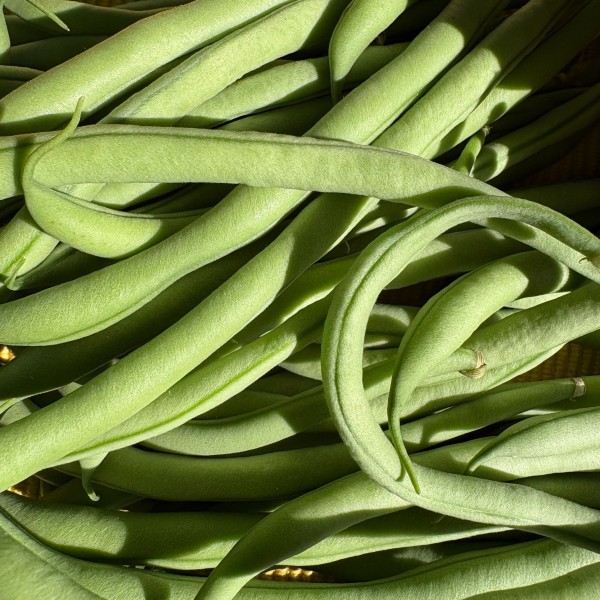 HARICOTS VERTS ( 500 GRS)