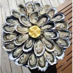 4 DOUZAINES D'HUITRES N°2
