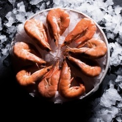 CREVETTES ROSES 500g