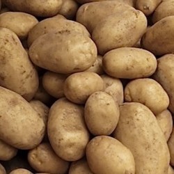 POMMES DE TERRE MONALISA