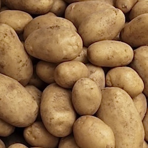 POMMES DE TERRE MONALISA