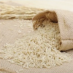 RIZ CAMARGUE BLANC BIO