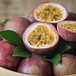 FRUITS DE LA PASSION