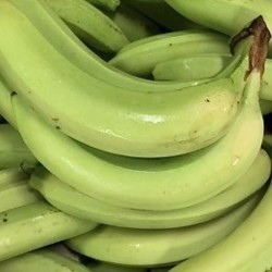 BANANES
