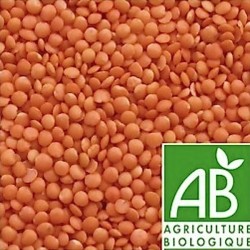 LENTILLE CORAIL BIO