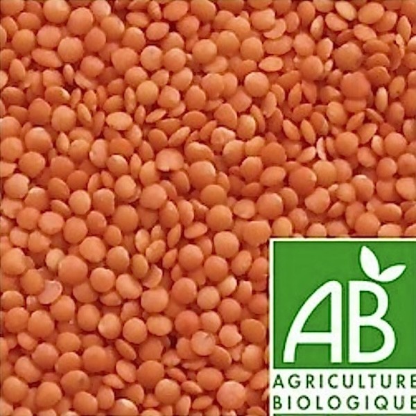 LENTILLE CORAIL BIO