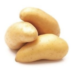 POMMES DE TERRE ANNABELLE