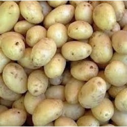 POMMES DE TERRE GRENAILLE