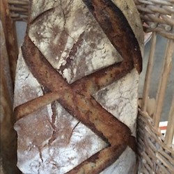 DEMI- PAIN LEVAIN BIO