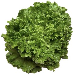 SALADE DE LA SEMAINE