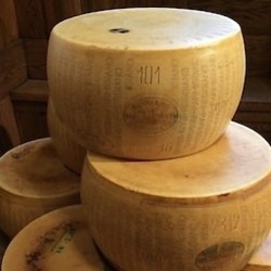 PARMESAN