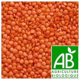 LENTILLE CORAIL BIO