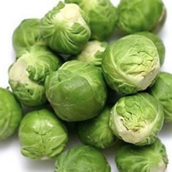 CHOUX DE BRUXELLES BIO