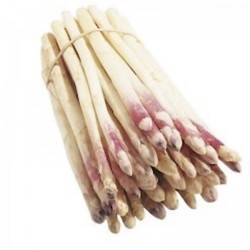 ASPERGES VIOLETTES OU BLANCHES 500 grs