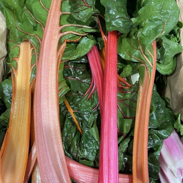 BETTE / BLETTE DE COULEUR BIO (500g)