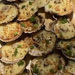 COQUILLE SAINT JACQUES MAISON