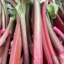 RHUBARBE 500 GRS
