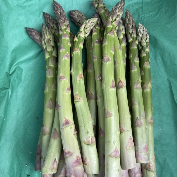 ASPERGES VERTES 500 GRS