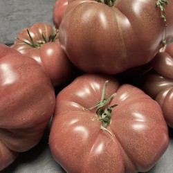 TOMATES COTELÉES NOIRES 500 GRS