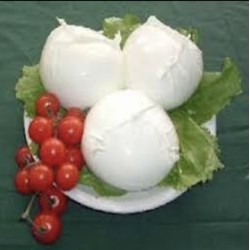 MOZZARELLA CERISE