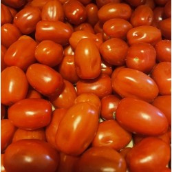 TOMATES CERISE BIO