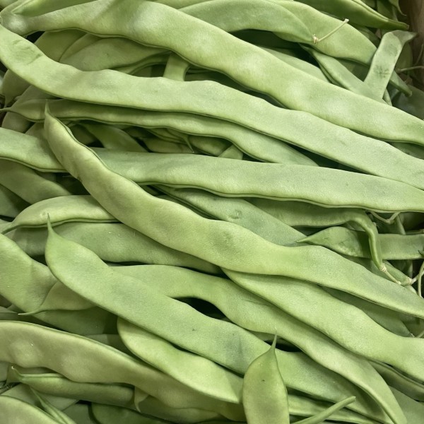 HARICOTS COCO PLAT BIO