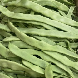 HARICOTS COCO PLAT BIO