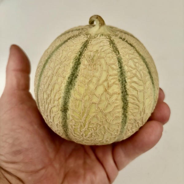 MINI MELON BIO