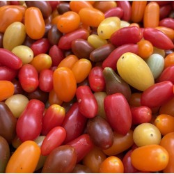 TOMATES CERISE BIO
