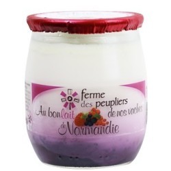 2 YAOURTS FRUITS DE BOIS