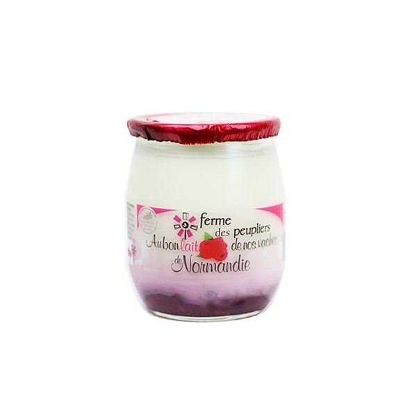 2 YAOURTS FRAMBOISE