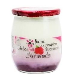 2 YAOURTS FRAMBOISE