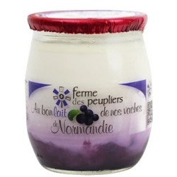 2 YAOURTS À LA MYRTILLE