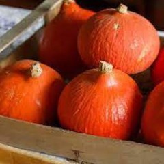 POTIMARRON