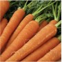 CAROTTES LAVEES (1kg)