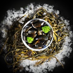 MOULES FRAICHES DE PAYS (1 part) 