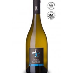 COTEAUX DU GIENNOIS Blanc 2023