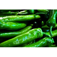 POIVRON LONG BIO