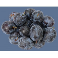 PRUNES