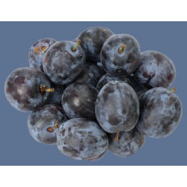 PRUNES