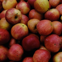 POMME ELSTAR (1kg)